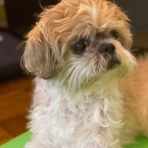 Meet your Posher, Jackie